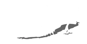 Everingham Park